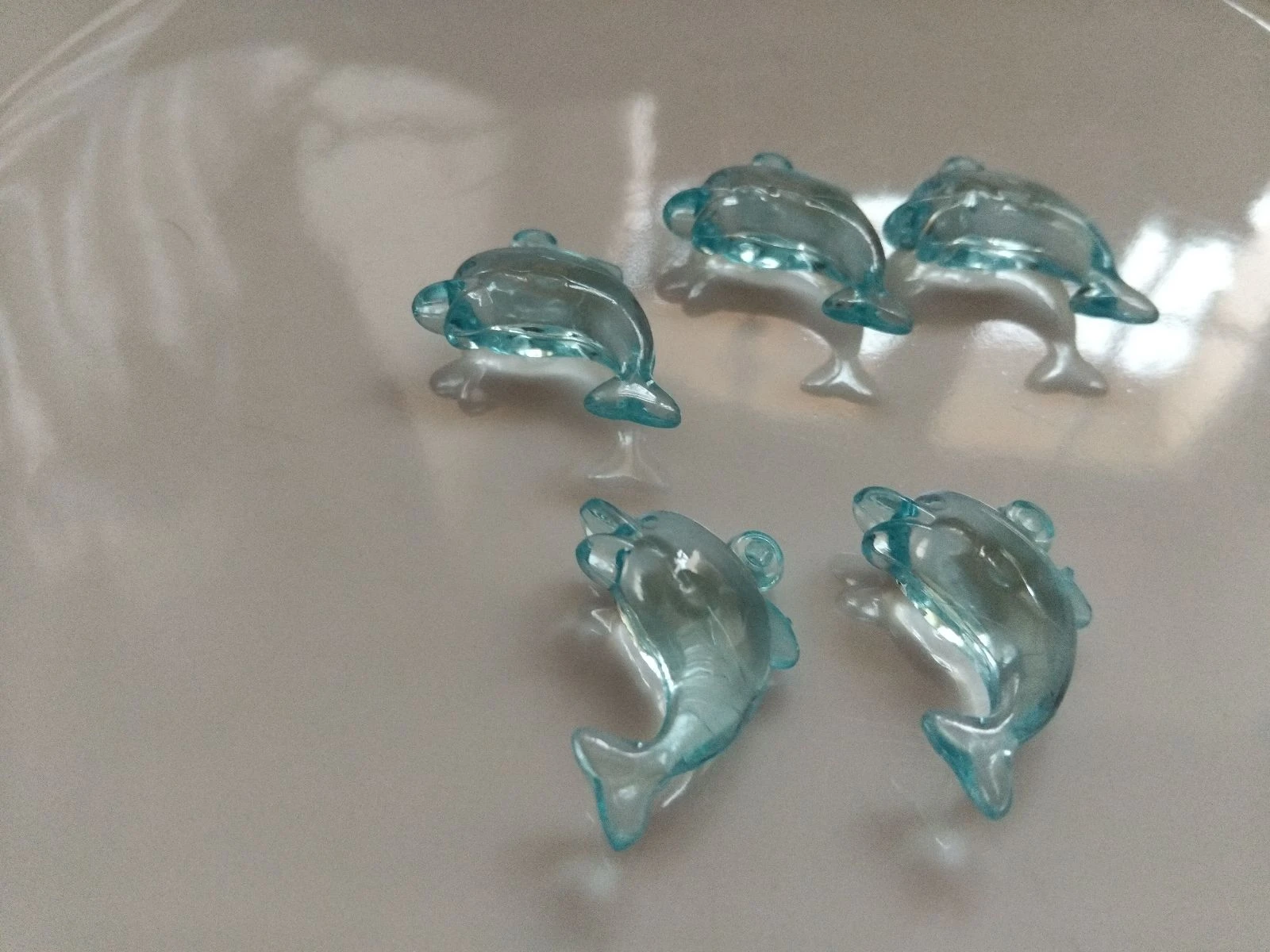Dauphins 🐬